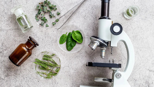 Ingredients for making your own natural skincare products