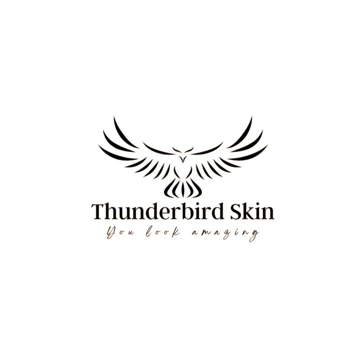 Thunderbird Skin logo