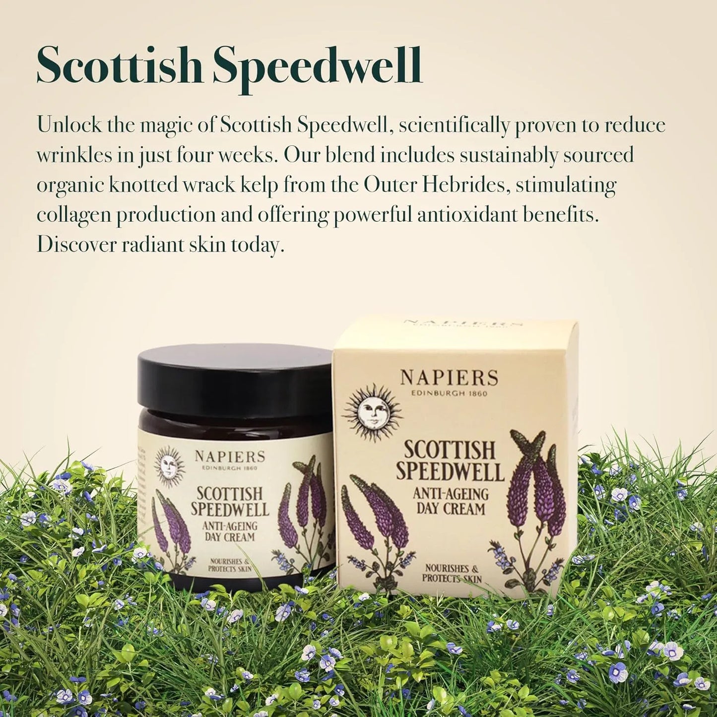 Napiers The Herbalists Speedwell Ageless Day Cream - 60ml infographic 1 reduce wrinkles