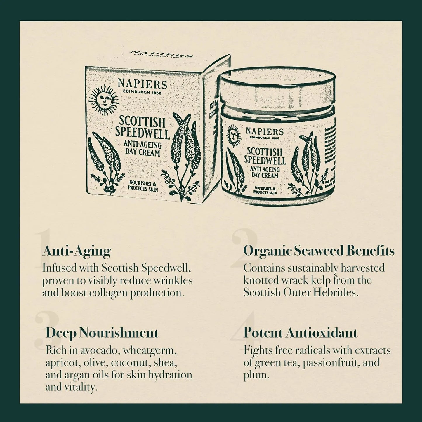 Napiers The Herbalists Speedwell Ageless Day Cream - 60ml infographic 3 organic seaweed benefits