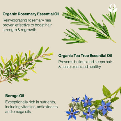 Balmonds Hair & Scalp Oil - 50ml infographic of organic essential oils with text and images of rosemary, tea tree, and borage