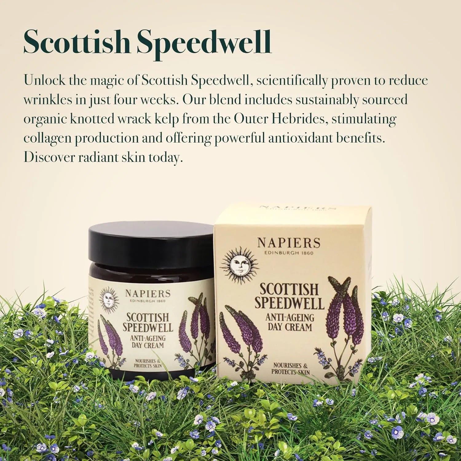 Napiers The Herbalists Speedwell Ageless Day Cream - 60ml infographic 1 reduce wrinkles