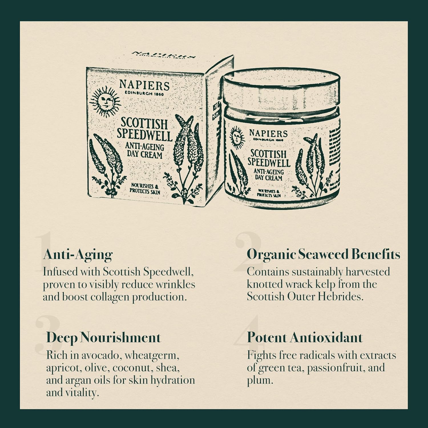 Napiers The Herbalists Speedwell Ageless Day Cream - 60ml infographic 3 organic seaweed benefits 