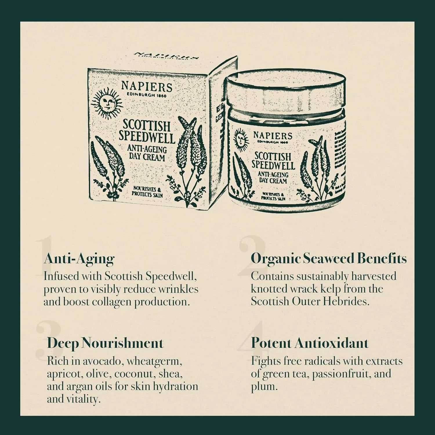 Napiers The Herbalists Speedwell Ageless Day Cream - 60ml infographic 3 organic seaweed benefits 