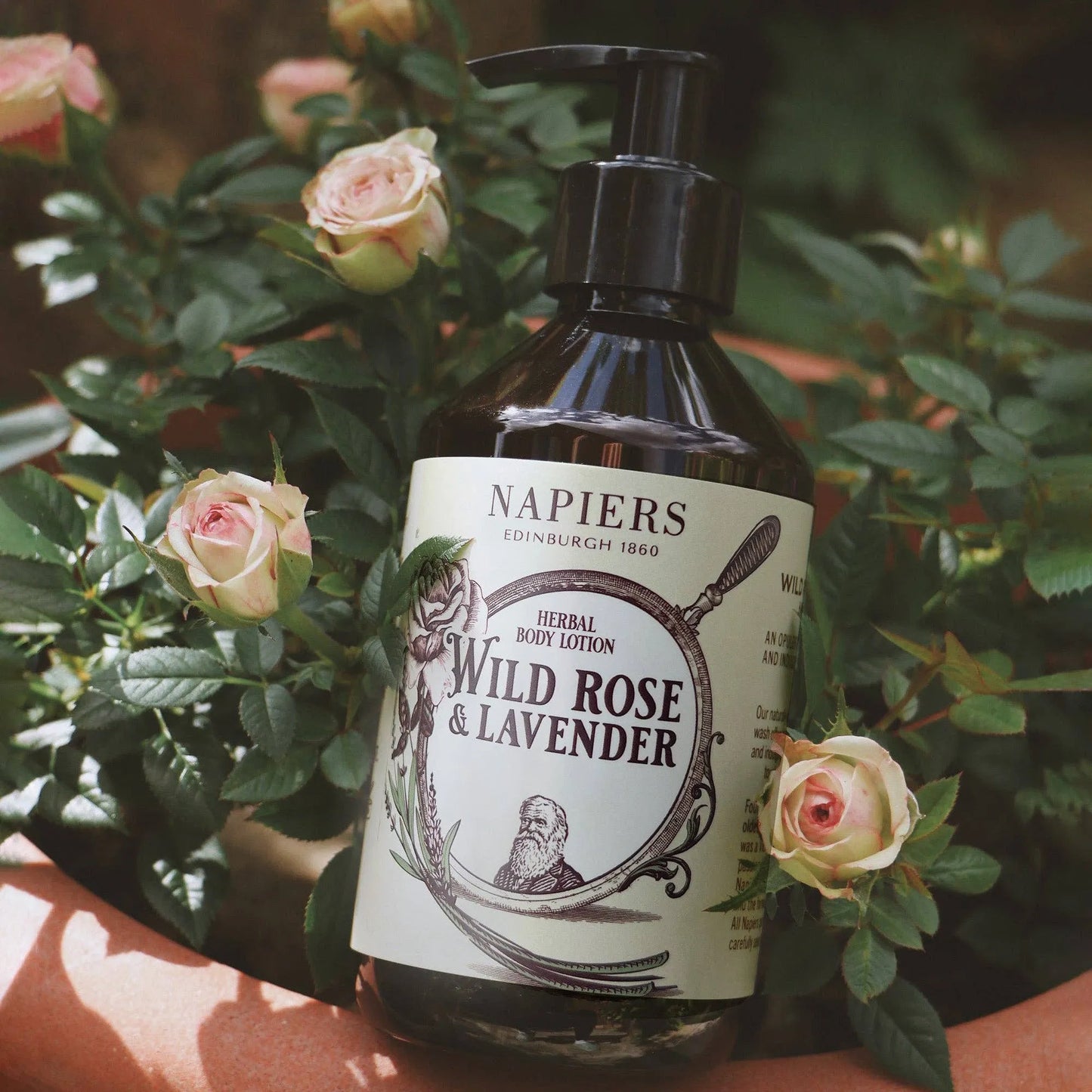 Napiers Wild Rose & Lavender Body Lotion in bush wildlife shot